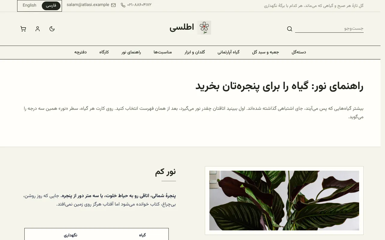 گیاه رو برای پنجرهٔ مشتری بفروش